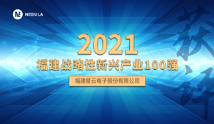 喜报！南宫·NG28股份获评“2021福建战略性新兴产业100强”